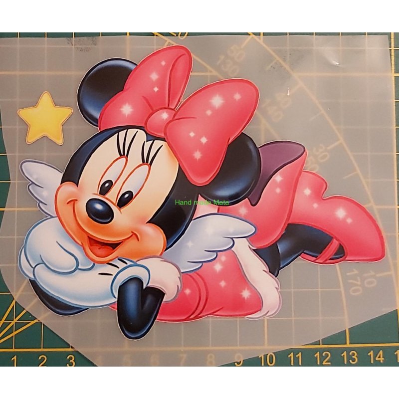 vyr-118-Minnie-2.jpeg